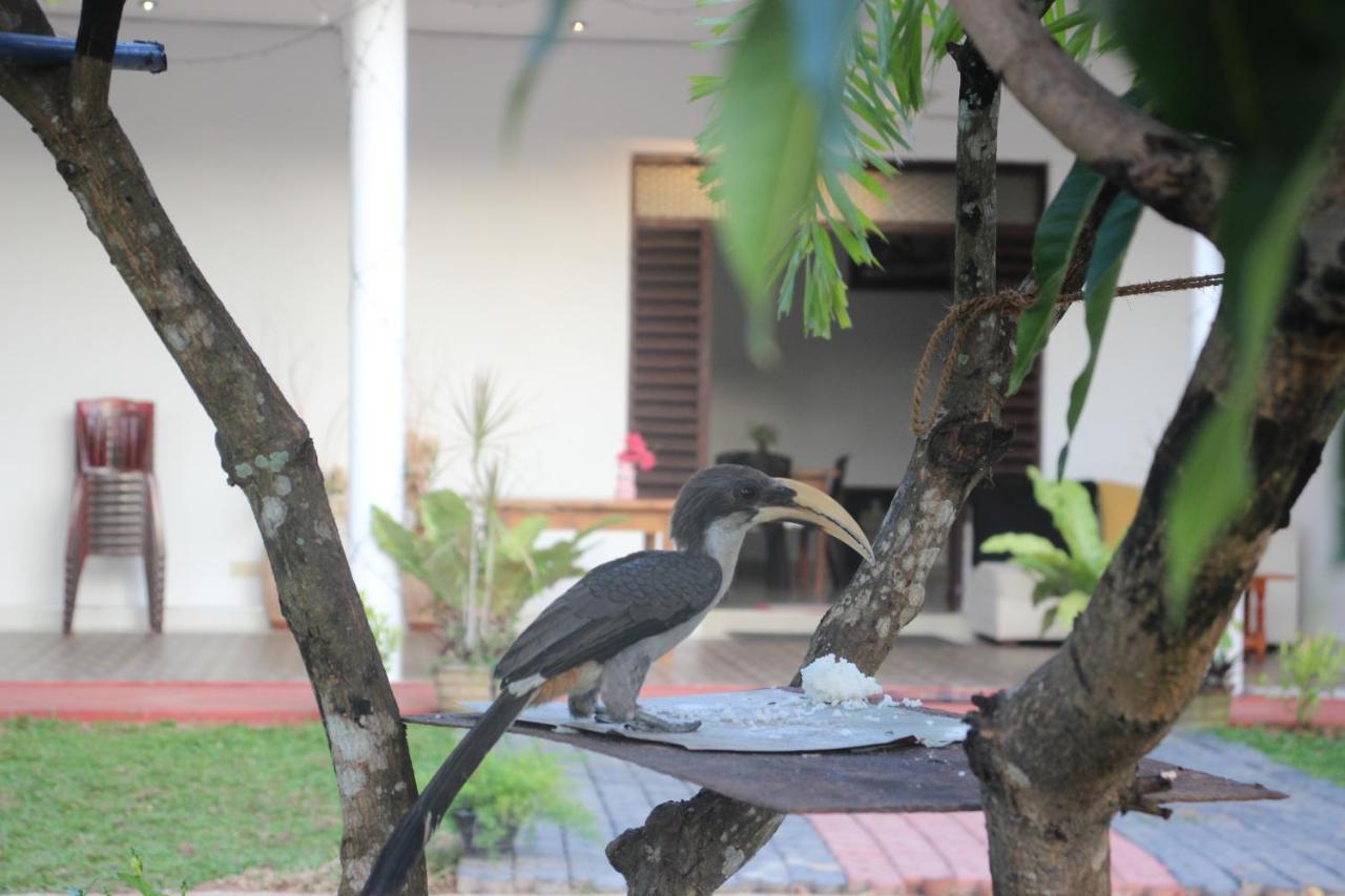 Miheen Hotel & Resort - Anuradhapura Mihintale Εξωτερικό φωτογραφία